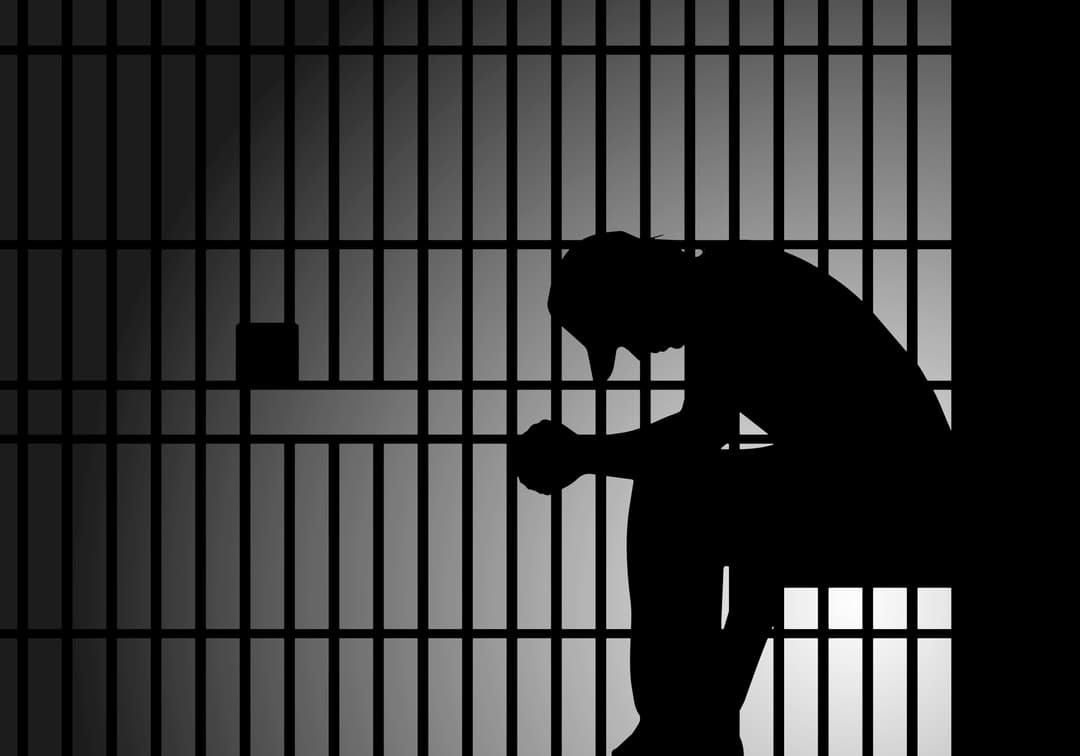 Behind Locked Doors: Investigating Deaths in Custody